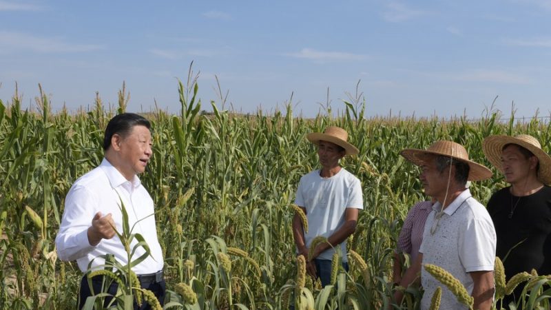 Xi expressa saudações antes do festival de safra dos agricultores chineses