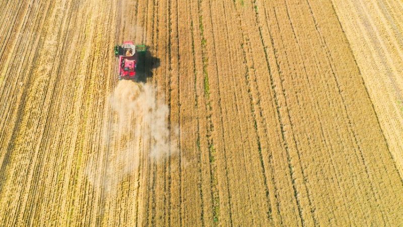 China revela plano quinquenal para avançar na modernização agrícola e rural