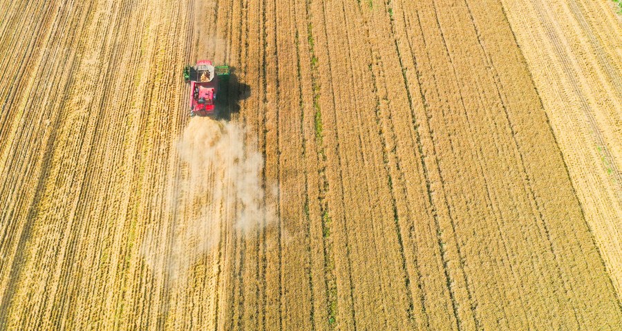 China revela plano quinquenal para avançar na modernização agrícola e rural