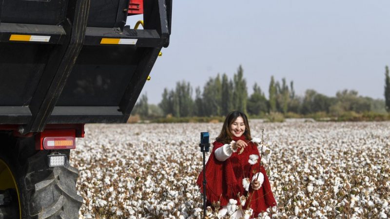 Residentes de Xinjiang contam suas histórias sobre emprego e empreendedorismo