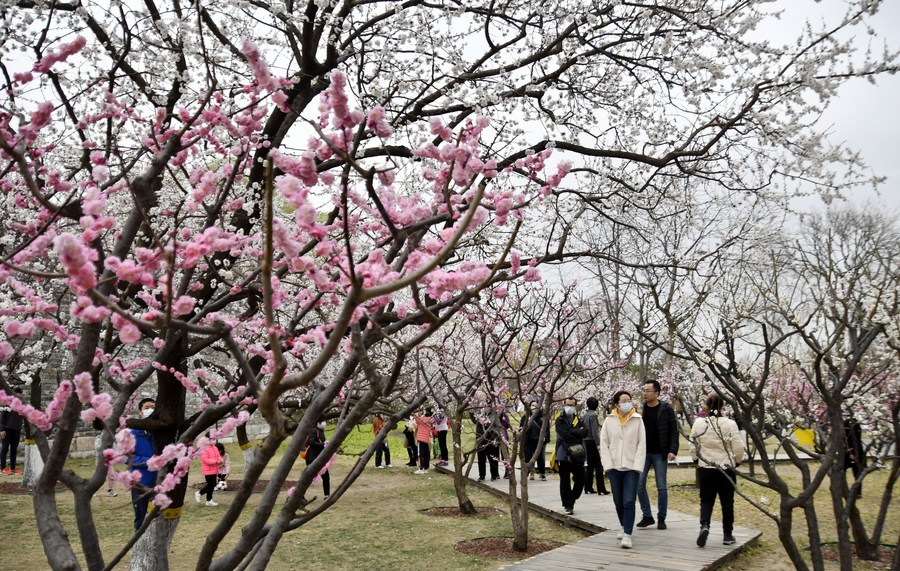 Parques de Beijing têm aumento de visitantes durante feriado