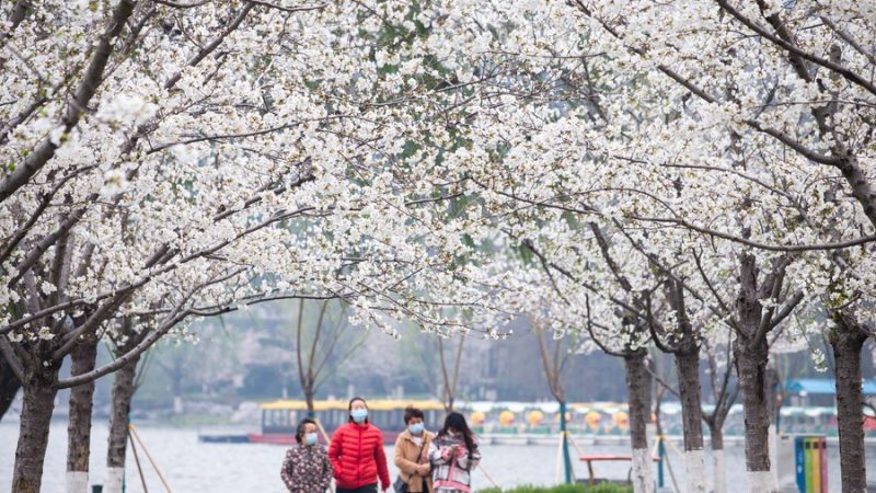 Receita do turismo da China atingirá US$ 269 bilhões no primeiro semestre