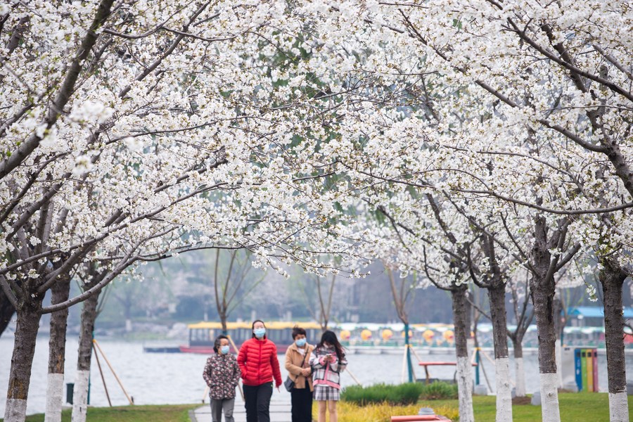 Receita do turismo da China atingirá US$ 269 bilhões no primeiro semestre