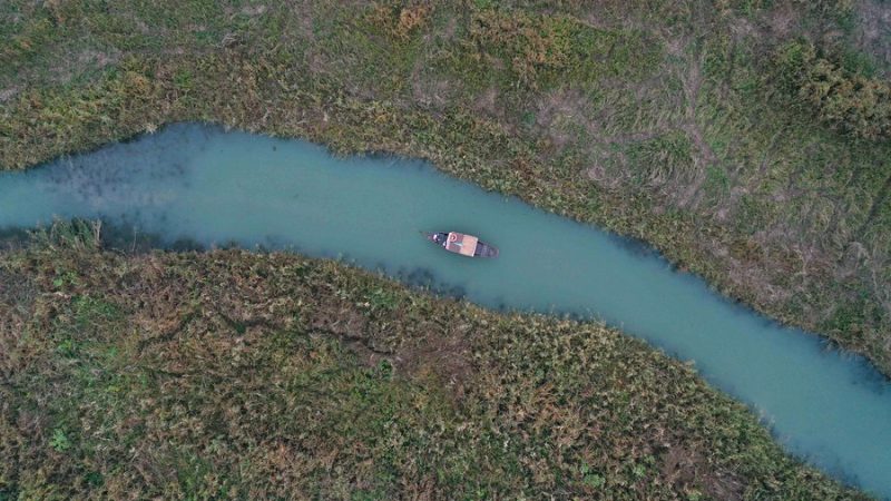 Emitido regulamento sobre primeiro parque nacional de pântano da China