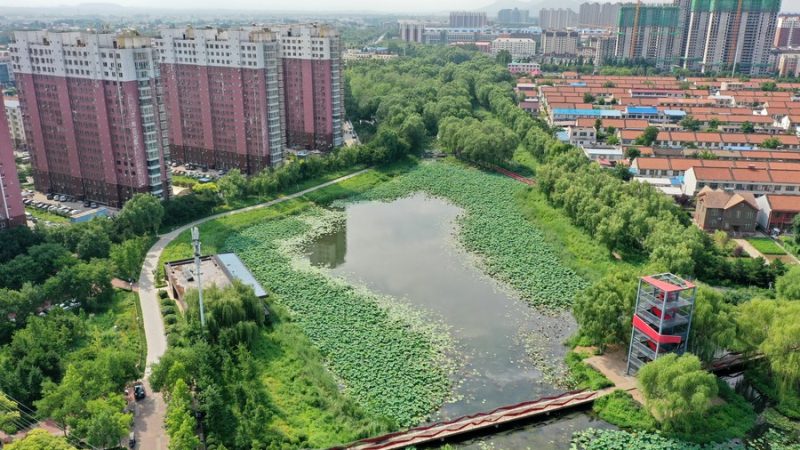 Cidades chinesas usam mais água reciclada