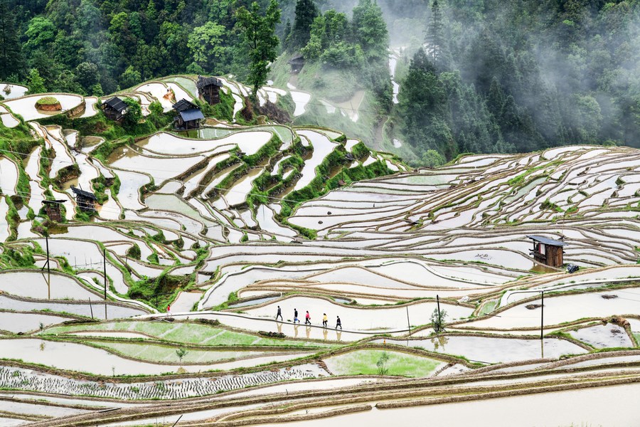 China sediará conferência sobre sistemas de patrimônio agrícola globalmente importantes