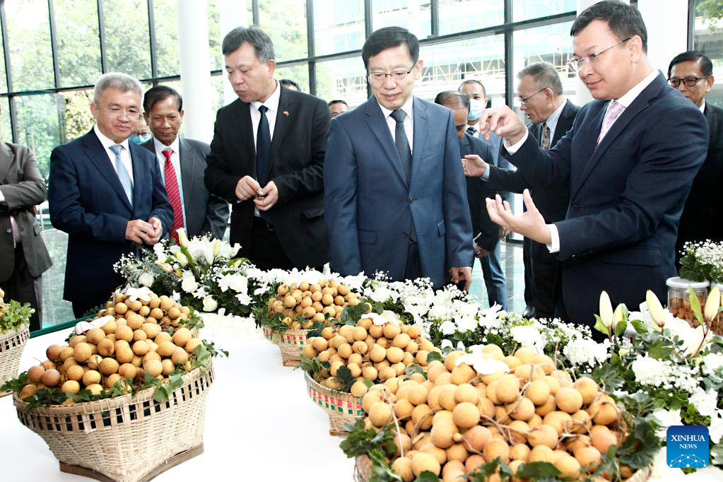 Camboja lança exportações de longan para a China