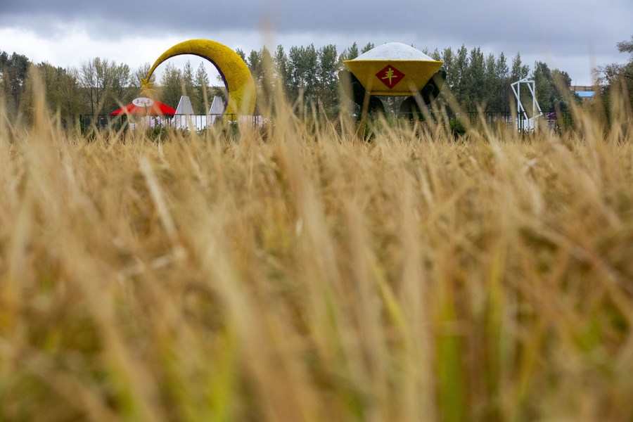 Importante província produtora de grãos da China realiza agricultura altamente mecanizada