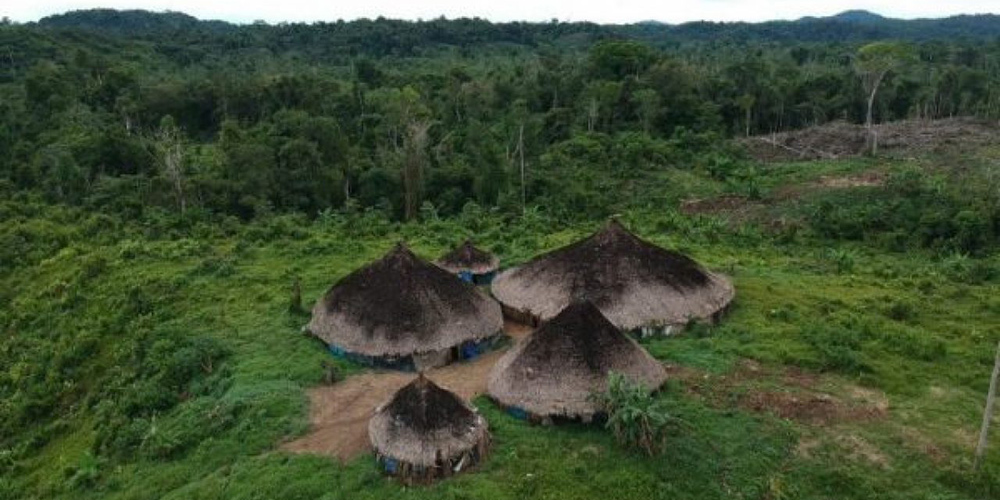 Governo brasileiro resgata mais de mil indígenas yanomami em estado grave