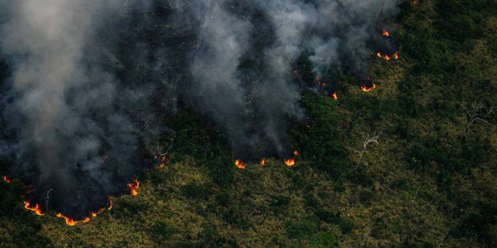 Incêndios queimam mais de 16,3 milhões de hectares no Brasil em 2022