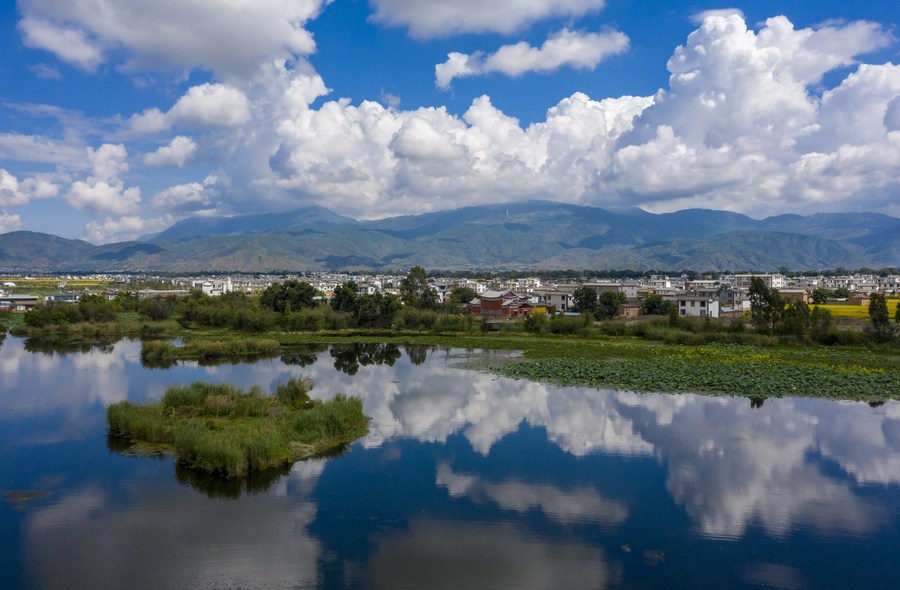 China registra mais casos de litígio de interesse público para proteger meio ambiente, diz relatório