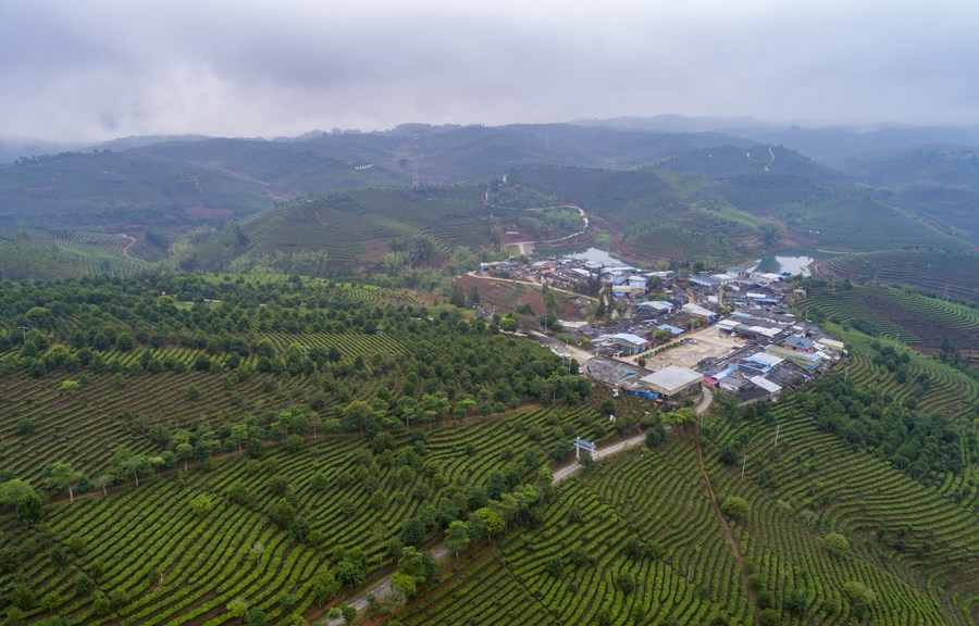 China planta 3,83 milhões de hectares de floresta em 2022