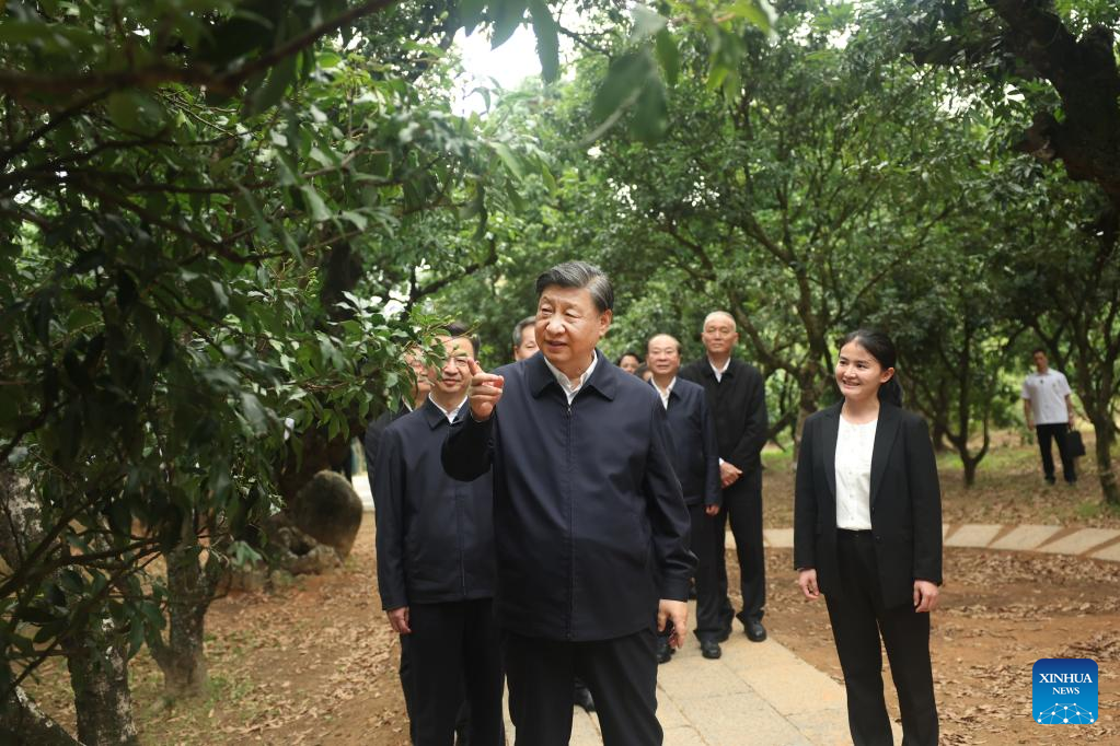 Xi inspeciona cidade de Maoming, no sul da China