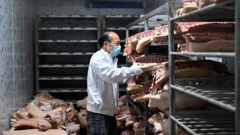 China reabastecerá reservas de carne suína para estabilizar mercado