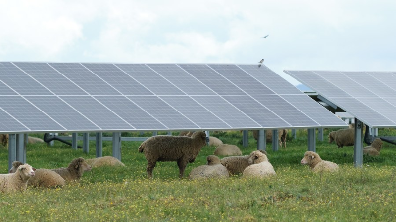 Energia limpa desempenha papel crescente nos países europeus