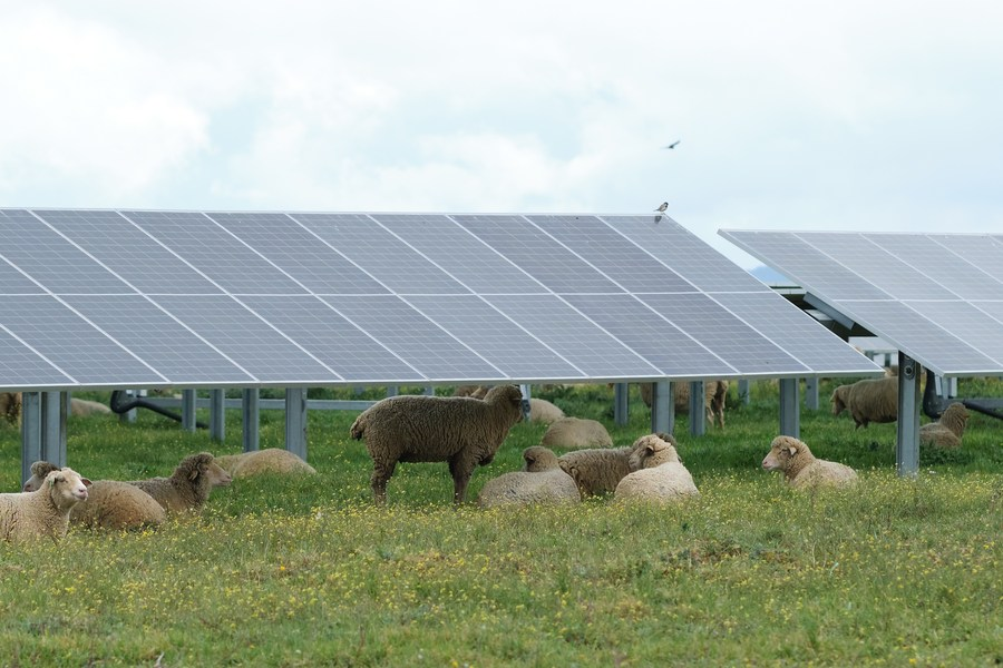 Energia limpa desempenha papel crescente nos países europeus