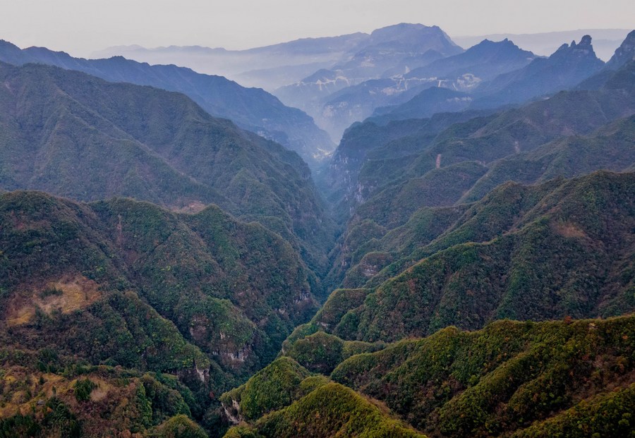 China divulga lista anual de biodiversidade