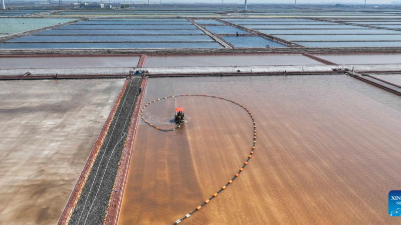 Trabalhadores colhem sal em Tangshan, Província de Hebei, no norte da China