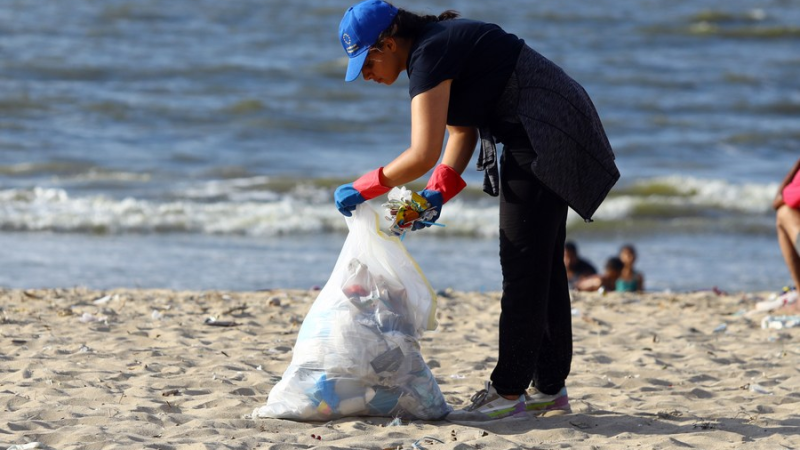 A experiência ecológica da China é benéfica para o esforço verde do Egito, diz ecologista egípcio