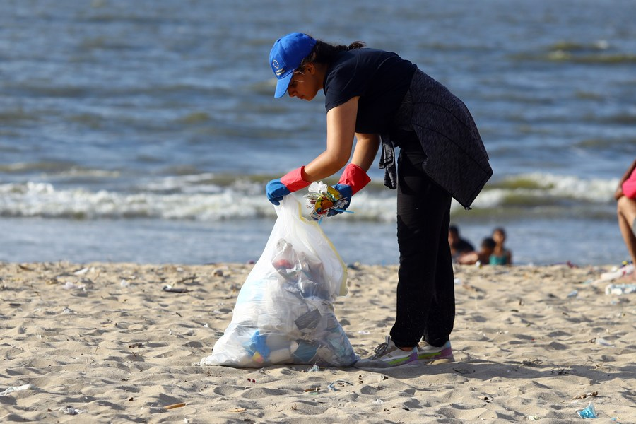 A experiência ecológica da China é benéfica para o esforço verde do Egito, diz ecologista egípcio