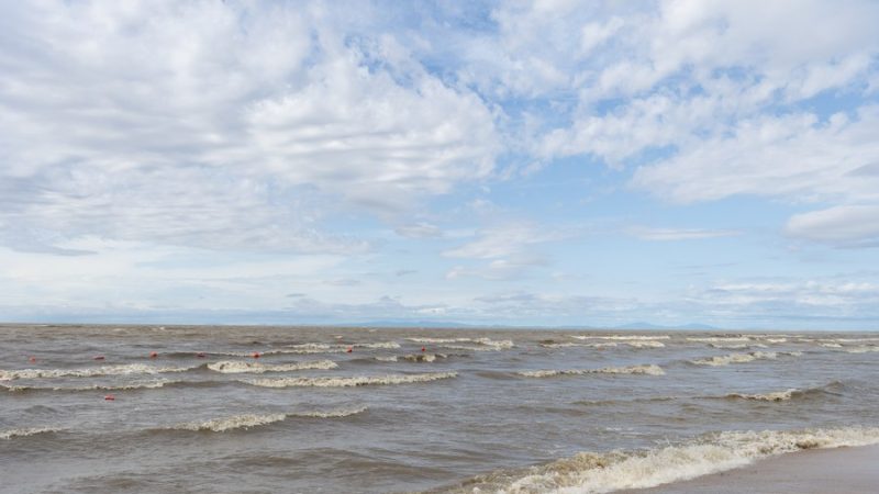 Mais de 5 milhões de alevinos são liberados em lago de água doce no nordeste da China