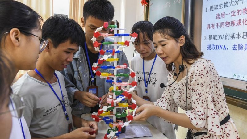 Cientistas chineses criam dispositivo de computação programável baseado em DNA