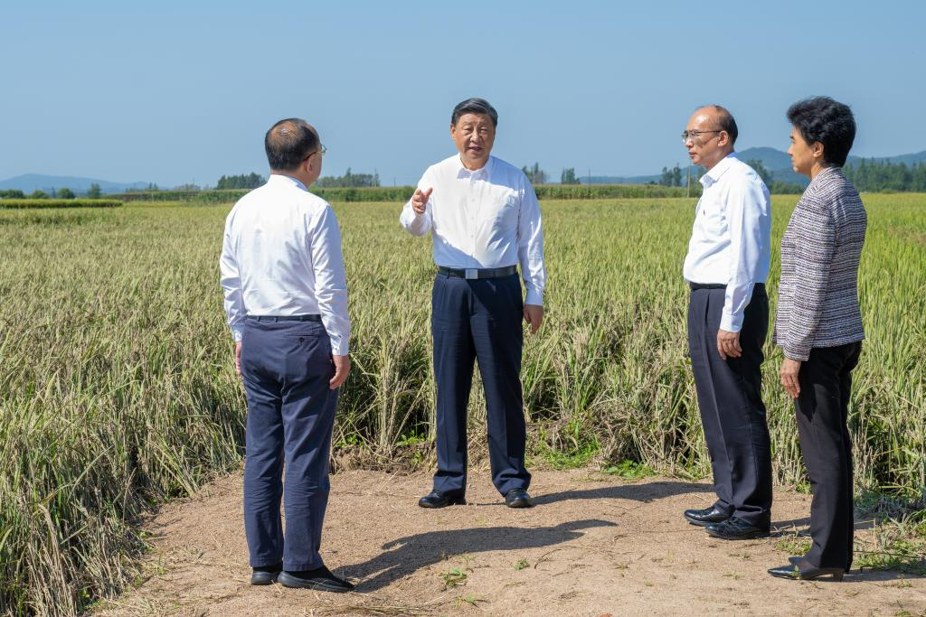 Xi visita aldeões afetados por inundações na Província de Heilongjiang