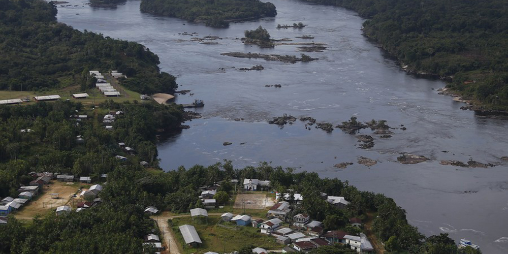 Inseto em extinção de 1mm é encontrado em caverna na Amazônia