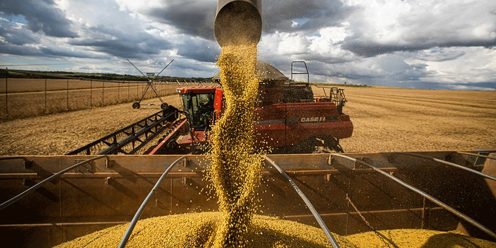 Exportações para a China impulsionam vendas recorde do agronegócio brasileiro até outubro