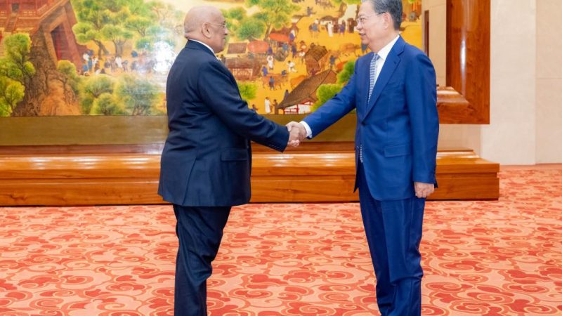 Mais alto legislador da China conversa com presidente da Assembleia Nacional do Djibuti