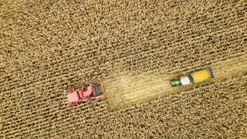 Conselho de Estado da China analisa medidas para promover revitalização rural