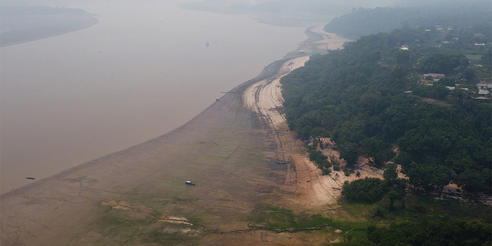 Destruição da Amazônia poderia chegar a um ponto de não retorno até 2050, alerta estudo