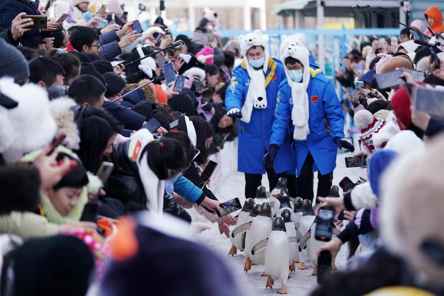  “Cidade do gelo” da China recebe mais de 10 milhões de visitantes durante o feriado da Festa da Primavera