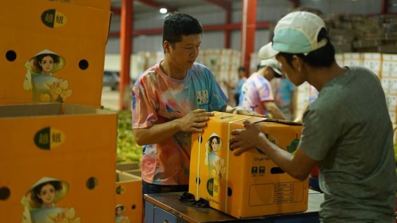 Agricultores vietnamitas visam o multibilionário mercado chinês