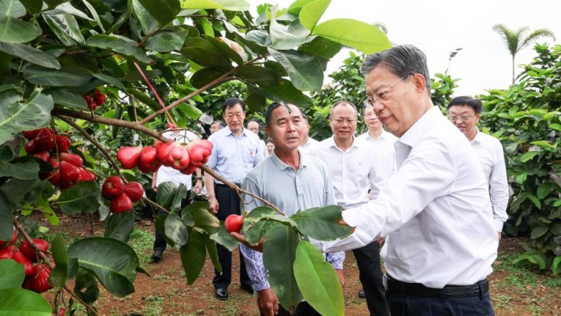 Mais alto legislador da China pede desenvolvimento de alta qualidade do trabalho da assembleia popular