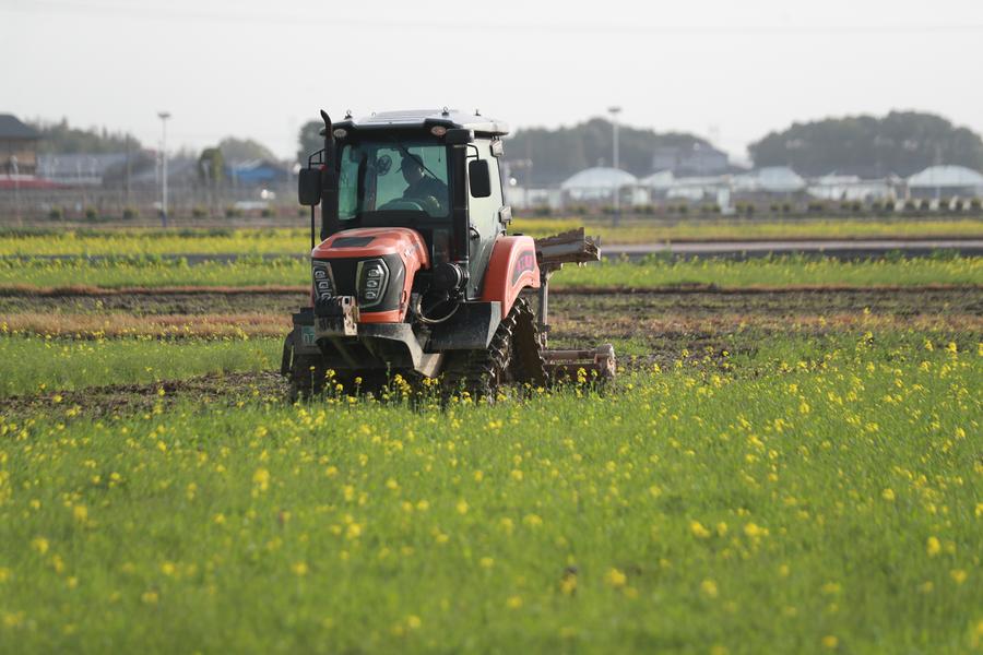 Banco de Desenvolvimento da China duplica apoio de empréstimos para trabalho em terras agrícolas