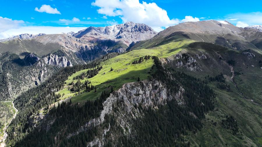 Mudanças climáticas deixam o norte do Planalto Qinghai-Xizang mais quente e úmido, diz estudo