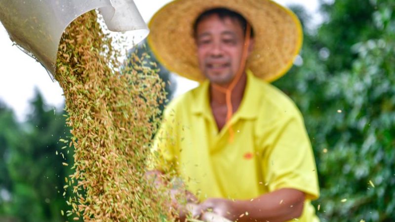 China lança campanha para aumentar produção de grãos