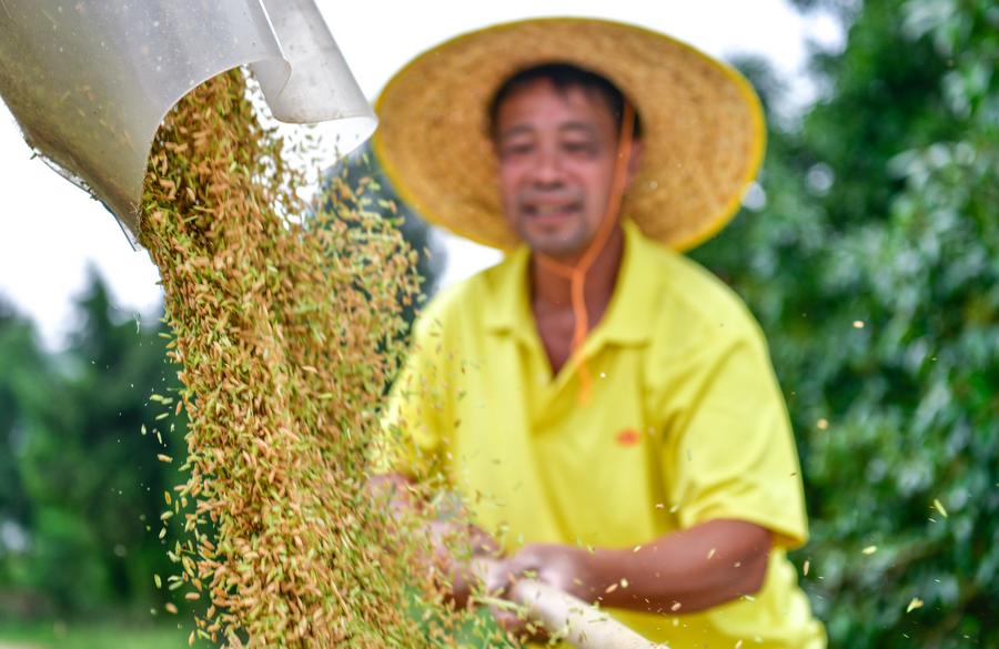 China lança campanha para aumentar produção de grãos