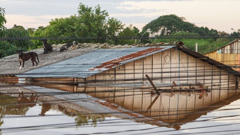 Sobe a 169 número de mortes causadas pela tragédia climática no sul do Brasil