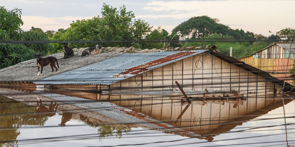 Sobe a 169 número de mortes causadas pela tragédia climática no sul do Brasil