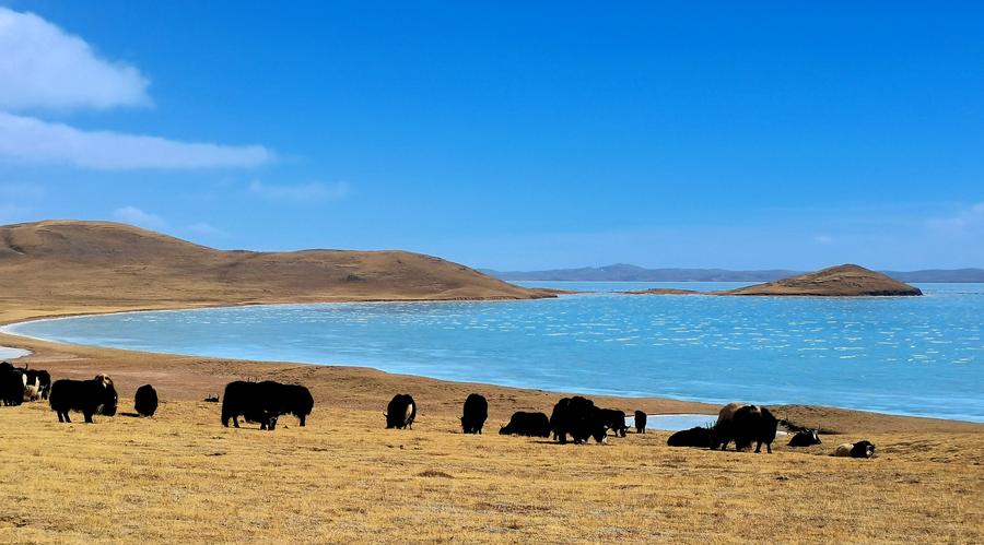 Índice de monitoramento ecológico do Parque Nacional de Sanjiangyuan da China recebe aprovação