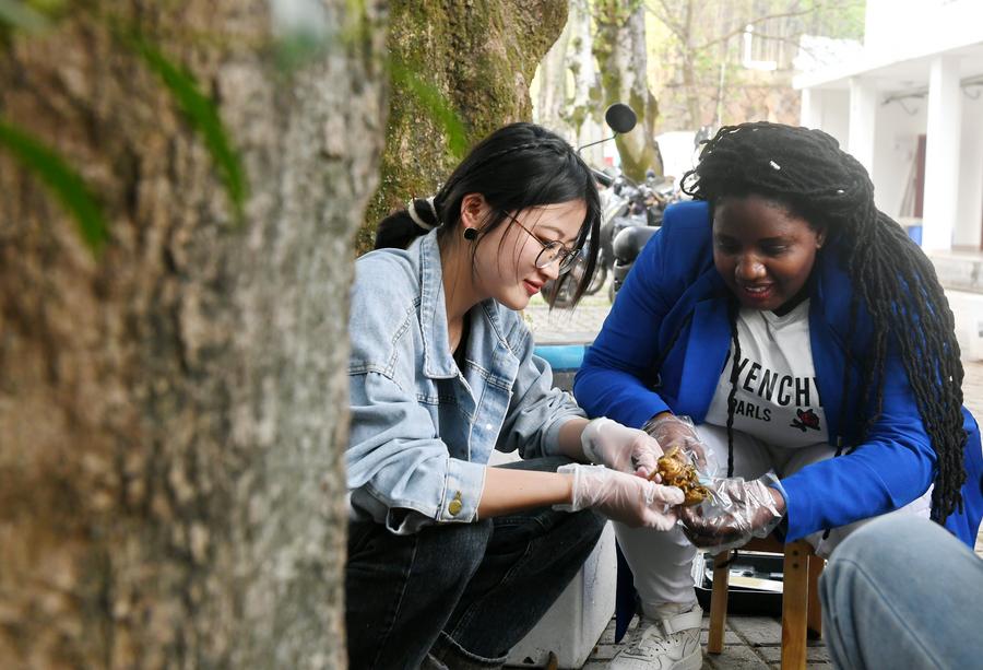 Agricultura africana prospera com tecnologia chinesa e acesso ao mercado chinês