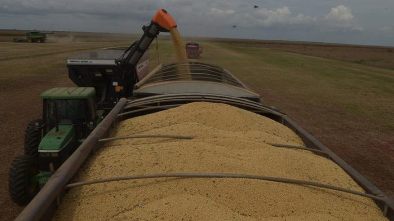 Agronegócio brasileiro teve o melhor mês de maio de sua história com a abertura de novos mercados