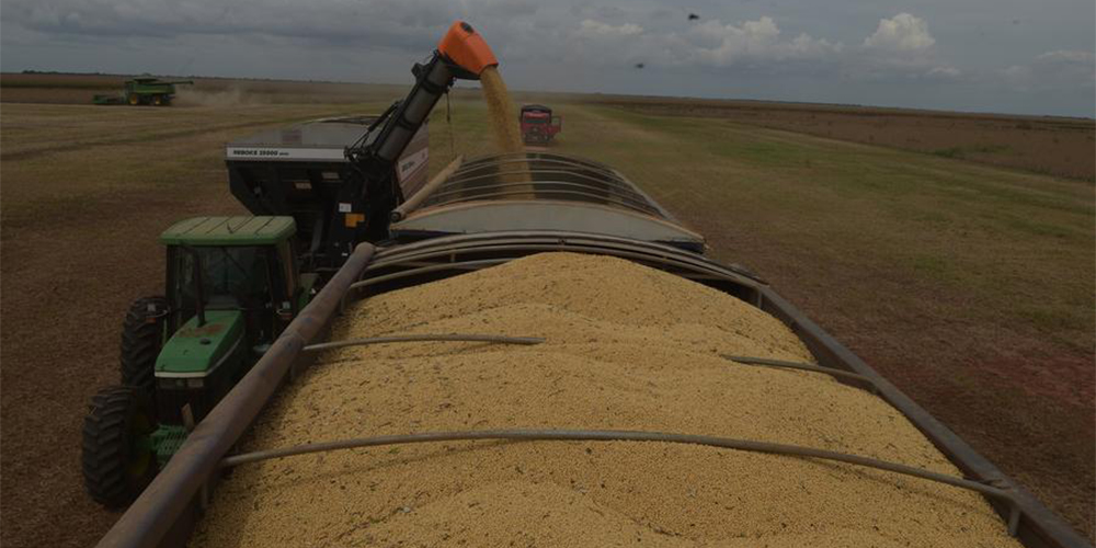 Agronegócio brasileiro teve o melhor mês de maio de sua história com a abertura de novos mercados