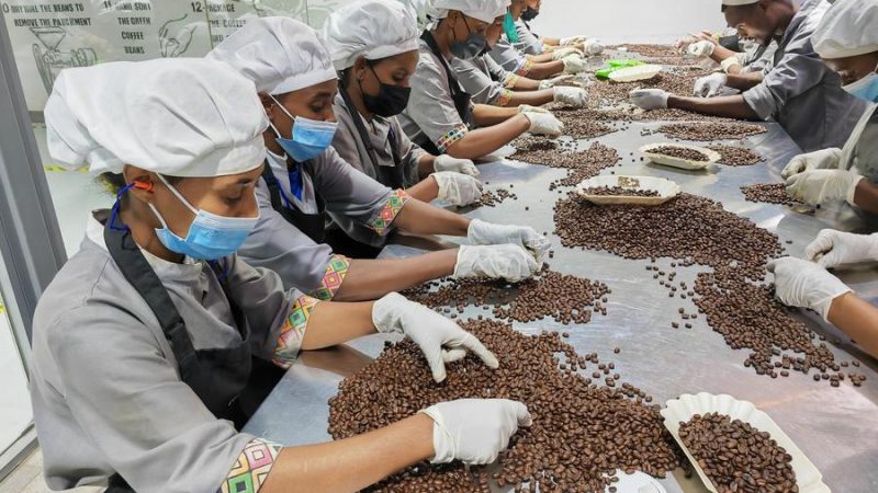 Etiópia busca agregar valor para aproveitar potencial do café em meio à crescente demanda da China