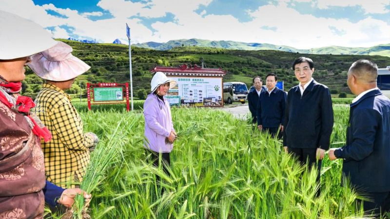 Mais alto conselheiro político da China destaca harmonia religiosa e étnica