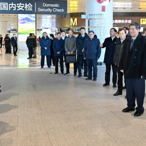 Vice-primeiro-ministro chinês enfatiza viagens seguras e tranquilas para Festa da Primavera