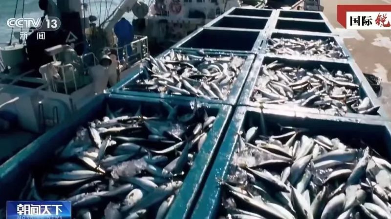 EUA e Japão são verdadeiros culpados pela destruição do ambiente marinho