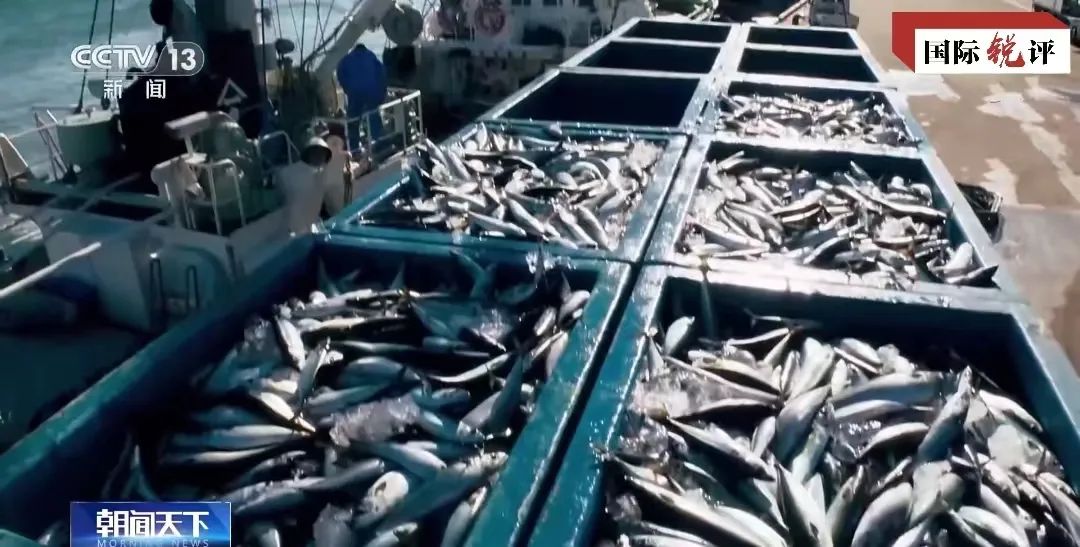 EUA e Japão são verdadeiros culpados pela destruição do ambiente marinho